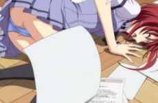 Extraits : Seikon No Qwaser (saisons 1&2 fanservice)