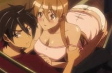 Extraits : Highschool of the dead (fanservice compilation)