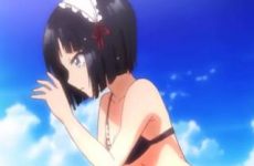 Extraits : Shomin Sample (fanservice compilation)