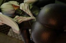 Black Cat twerk dans une combinaison moulante