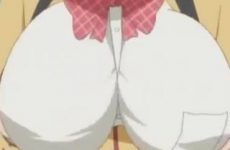 Extraits : Top 20 des ecchi de Harem & Romance