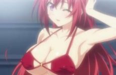 Extraits : Testament of Sister New Devil (ecchi)