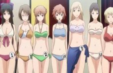 Extraits : Walkure Romanze (fanservice compilation)