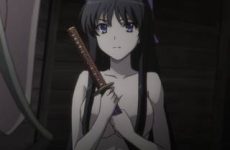 Extraits : Walkure Romanze (fanservice compilation)