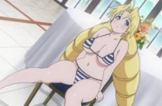 Extraits : Ladies versus Butlers! (compilation ecchi)