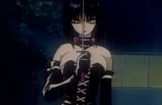 Extraits : Kotetsu no Daibouken (fanservice compilation)