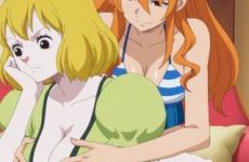 Carrot se fait tripoter les seins par Nami