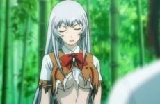 Extraits : Ikki Tousen: Extravaganza Epoch (fanservice)