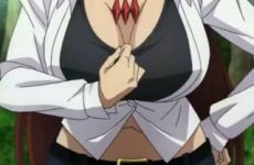Extraits : Girls Abound Ecchi (compilation ecchi)