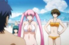Extraits : Aesthetica of a Rogue Hero (compilation ecchi)